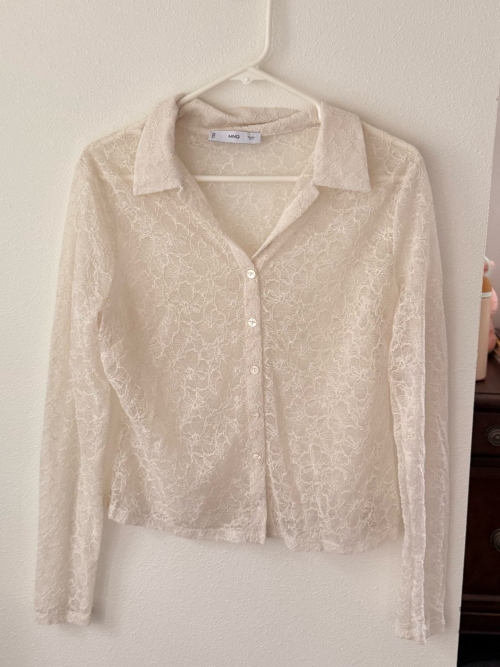 Sheer Lace Button-Up Blouse in Cream